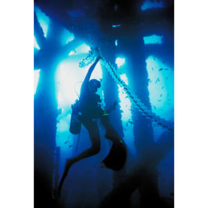 Hillary Hauser with sunlight through salp chain diving below Platform Holly 