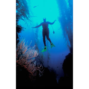 Underwater Dancing, Back Side Anacapa Island